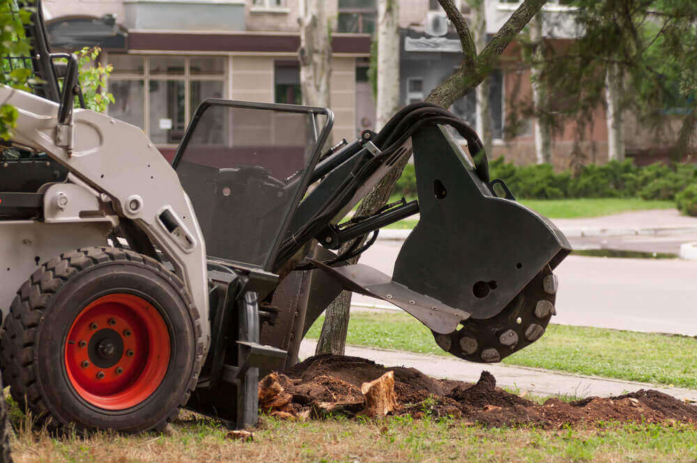 Affordable Root Removal Service Bristol, TN