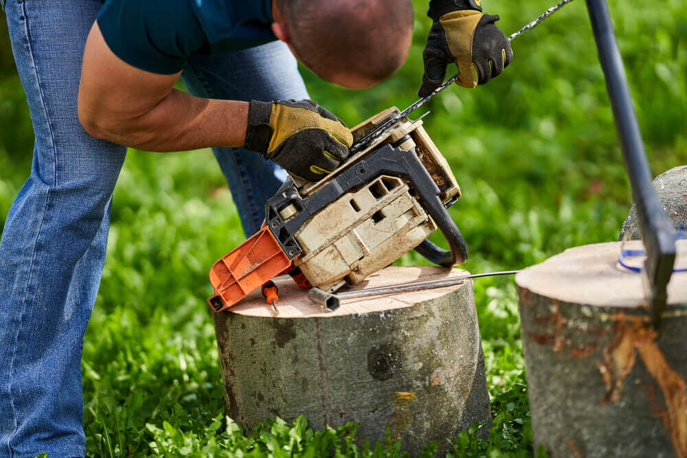 Best Tree Care Surgeons in Bristol, TN