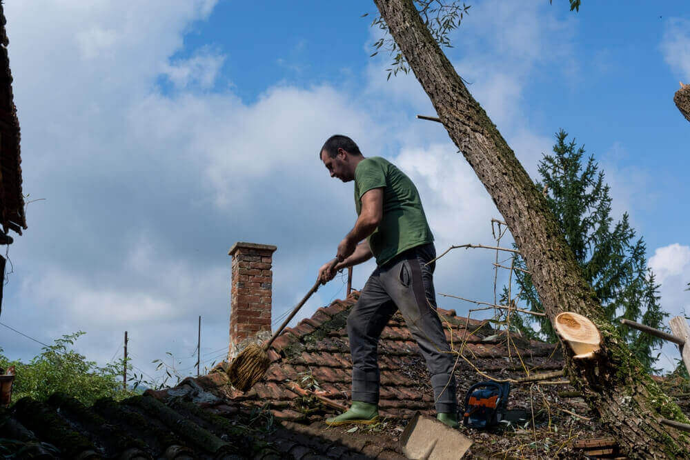 Emergency Tree Service Bristol TN