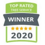 Top Rated Tree Service Award