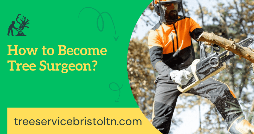 How long to Become Tree Surgeon